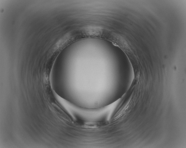 X0000085230176200703091200