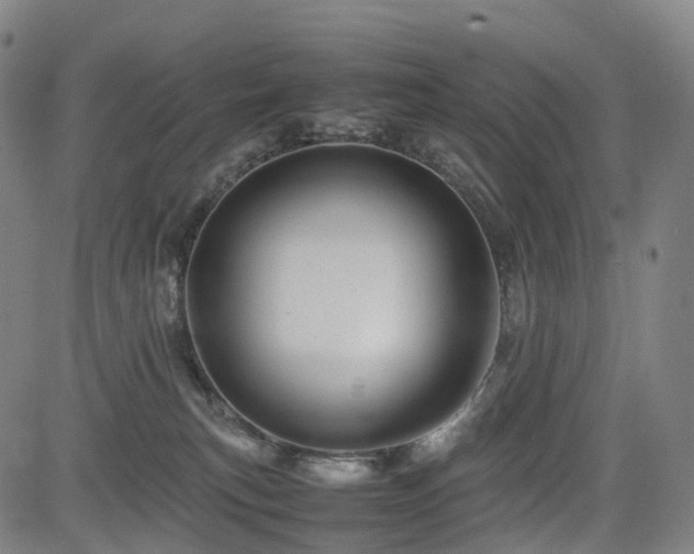 X0000085230183200703091200
