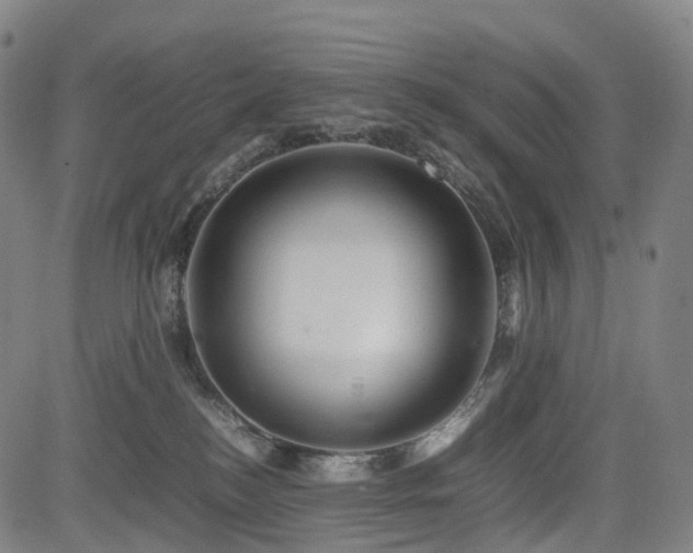 X0000085230184200703091200