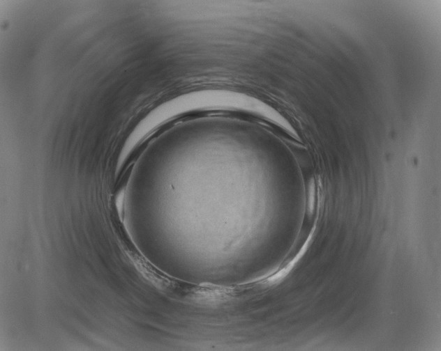 X0000085230190200703091201