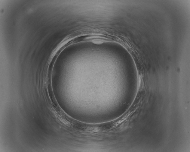 X0000085230195200703091200