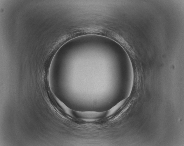 X0000085230201200703091200