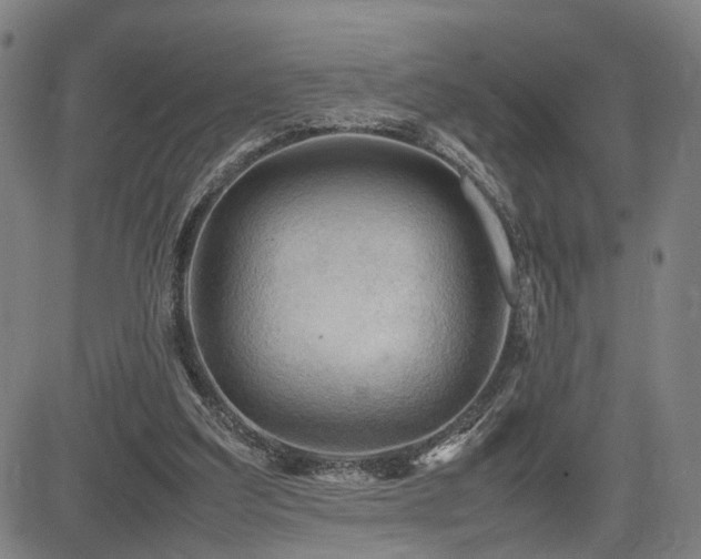 X0000085230203200703091200