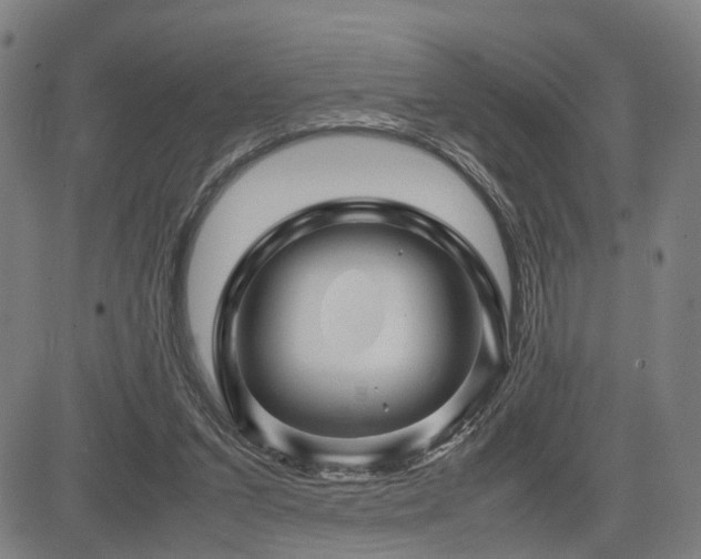 X0000085230207200703091159