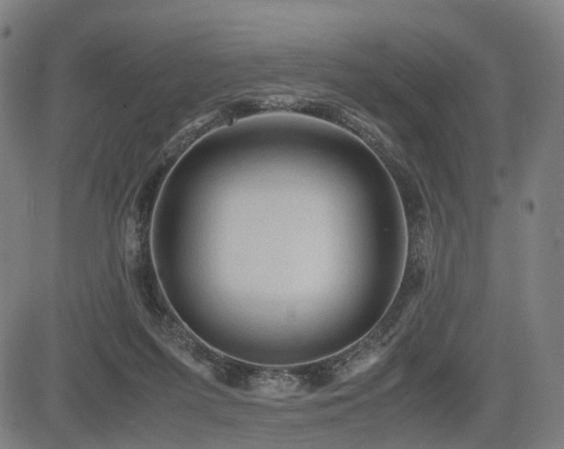 X0000085230215200703091159