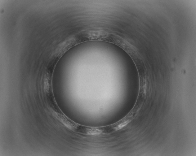 X0000085230226200703091159