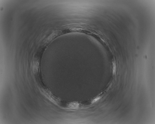 X0000085230227200703091159