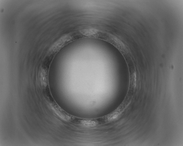 X0000085230234200703091159