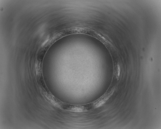X0000085230236200703091159