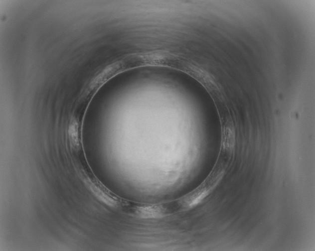 X0000085230238200703091159
