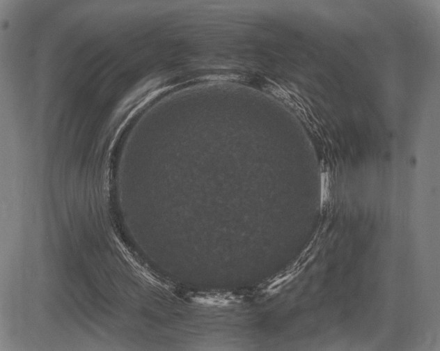 X0000085230243200703091158