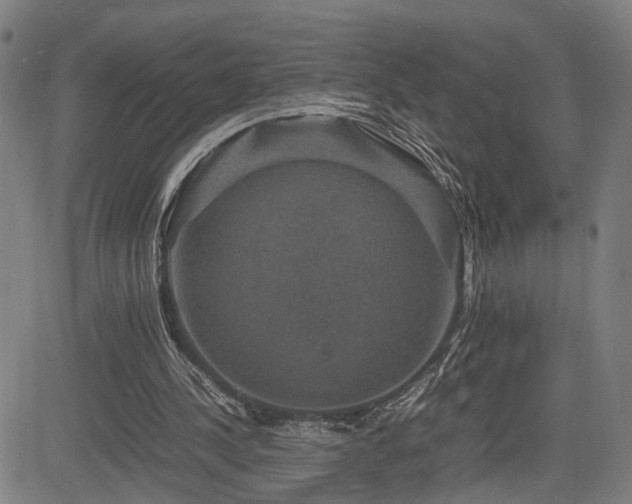 X0000085230244200703091158