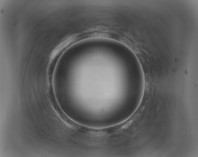 X0000085230245200703091158