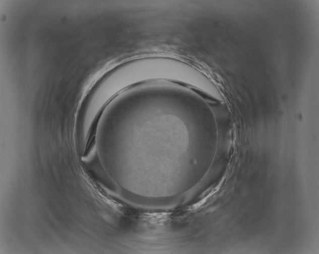 X0000085230248200703091158