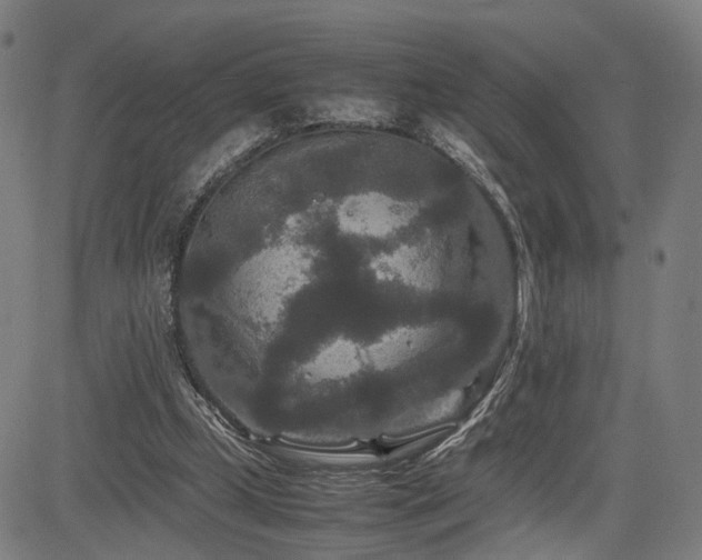 X0000085230249200703091158