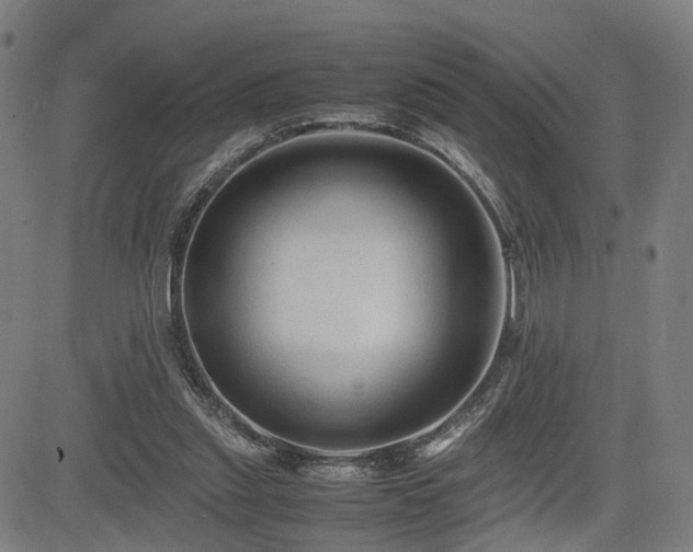 X0000085230253200703091158