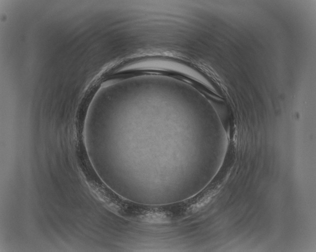 X0000085230256200703091158