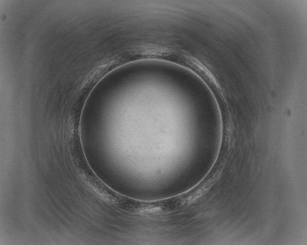 X0000085230257200703091158