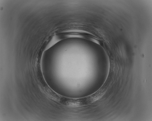 X0000085230263200703091158