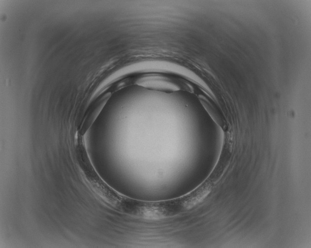X0000085230264200703091158