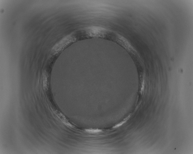 X0000085230266200703091158