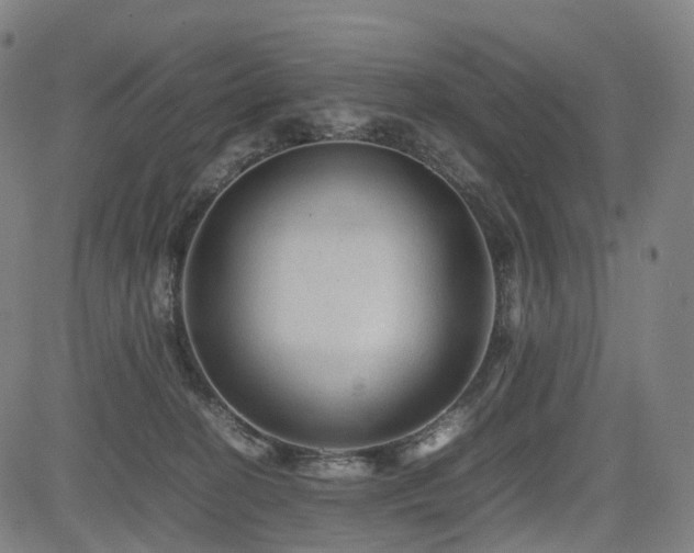 X0000085230274200703091159