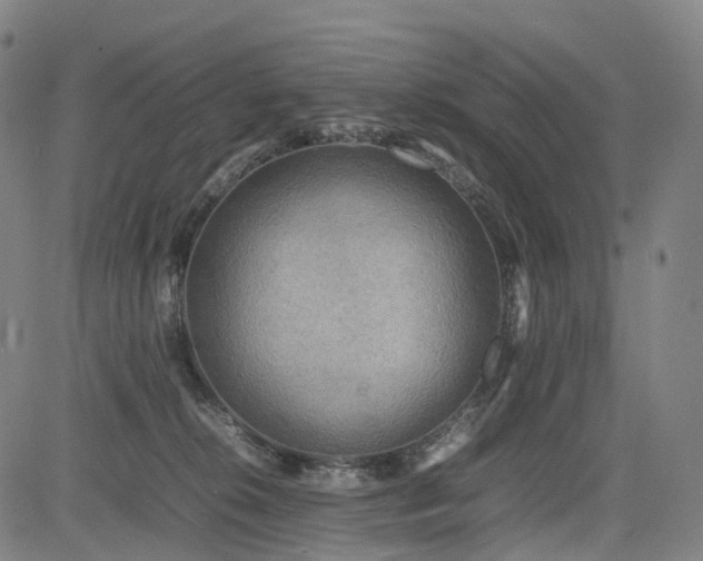 X0000085230276200703091159
