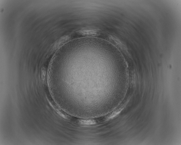 X0000085230281200703091159