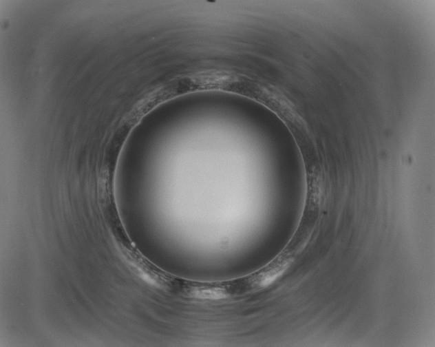X0000085230283200703091159