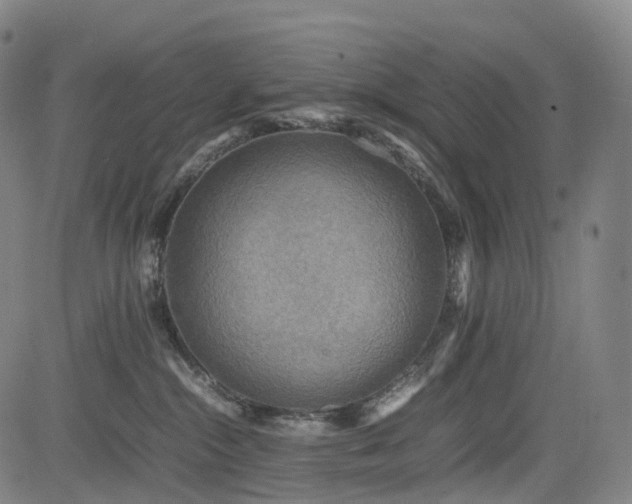 X0000085230284200703091159