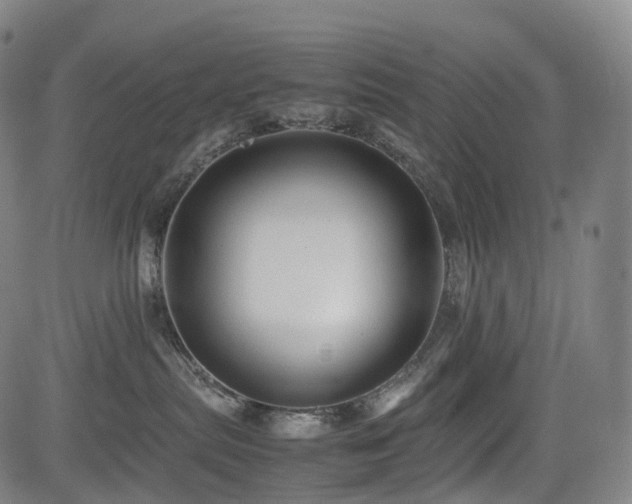 X0000085230287200703091159
