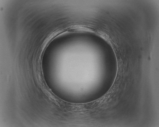 X0000085230289200703091158