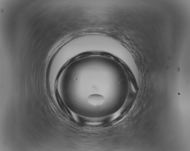 X0000085230293200703091158