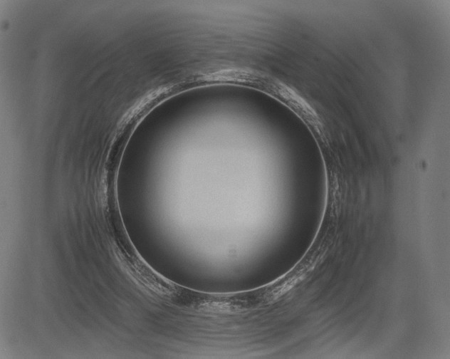 X0000085230298200703091158