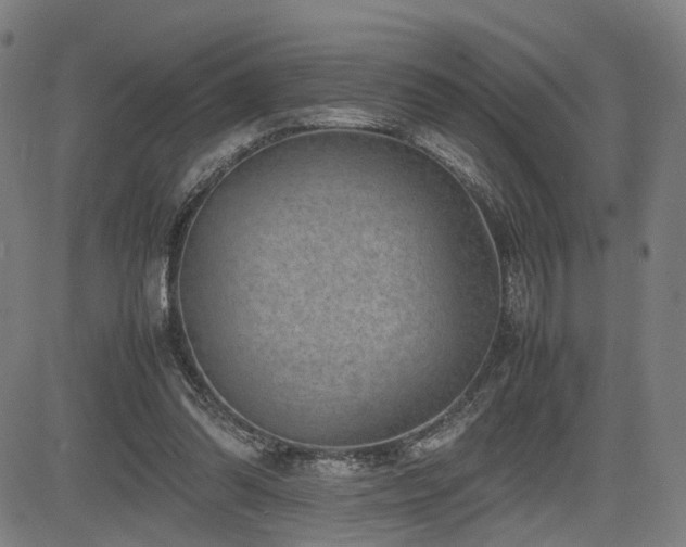X0000085230302200703091158