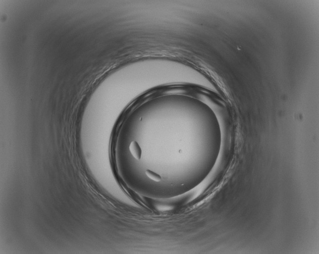 X0000085230305200703091158