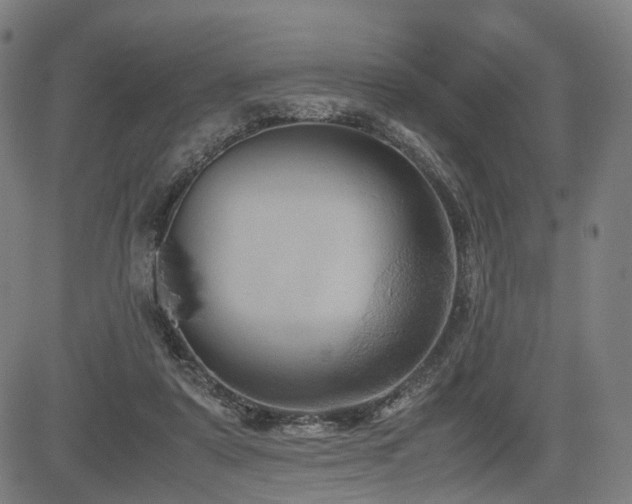 X0000085230307200703091158