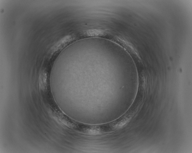 X0000085230308200703091158
