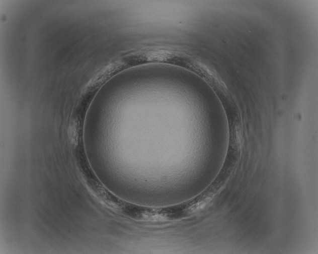 X0000085230311200703091158