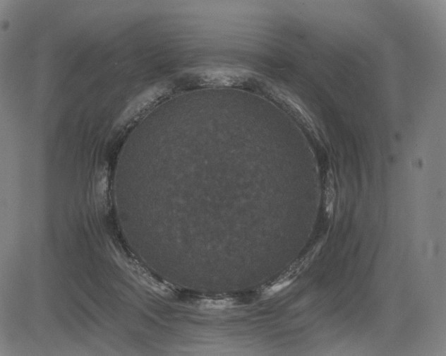X0000085230314200703091158