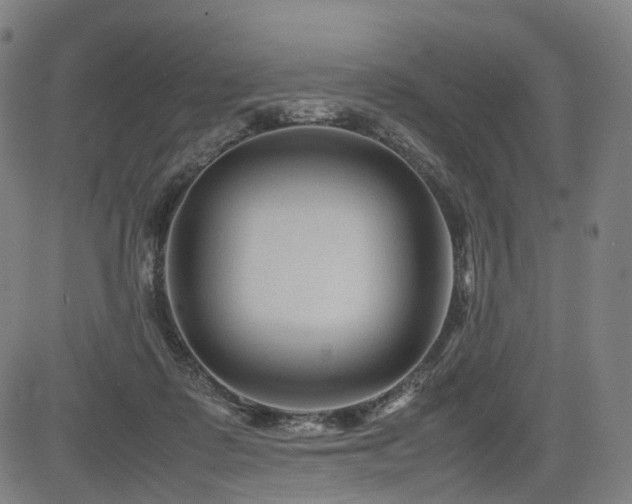 X0000085230315200703091158