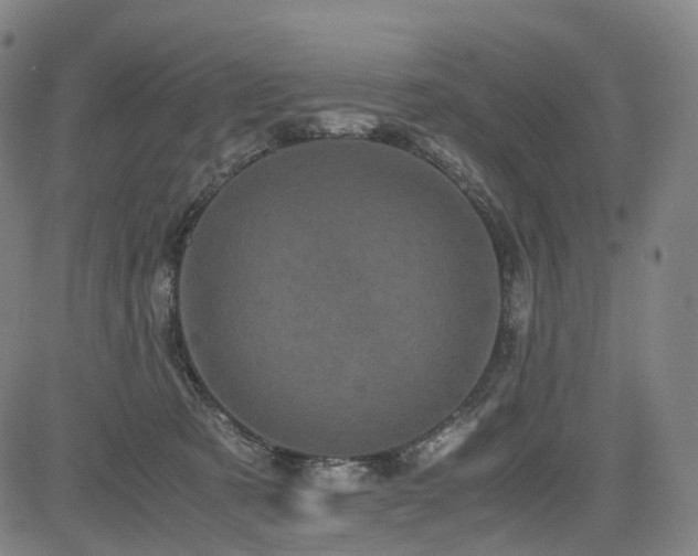 X0000085230321200703091158