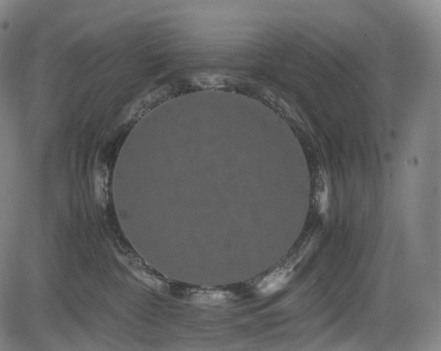X0000085230332200703091157