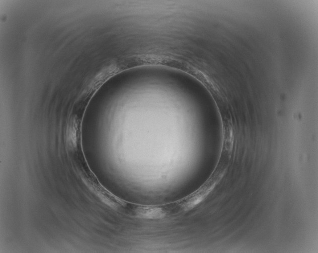 X0000085230334200703091157