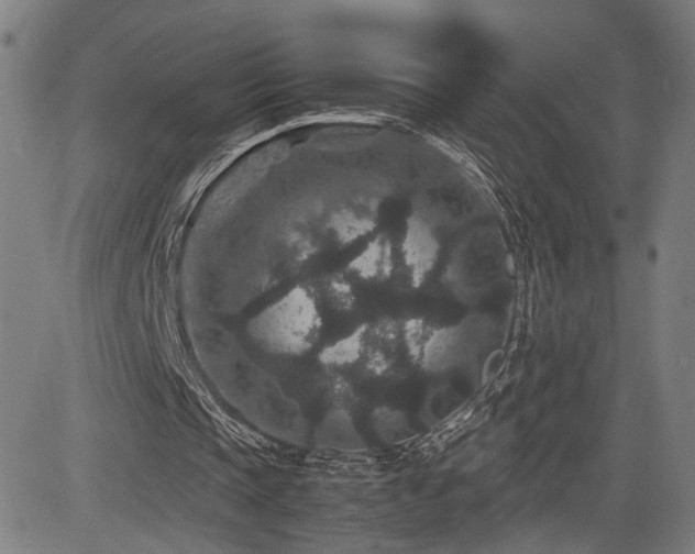 X0000085230337200703091156