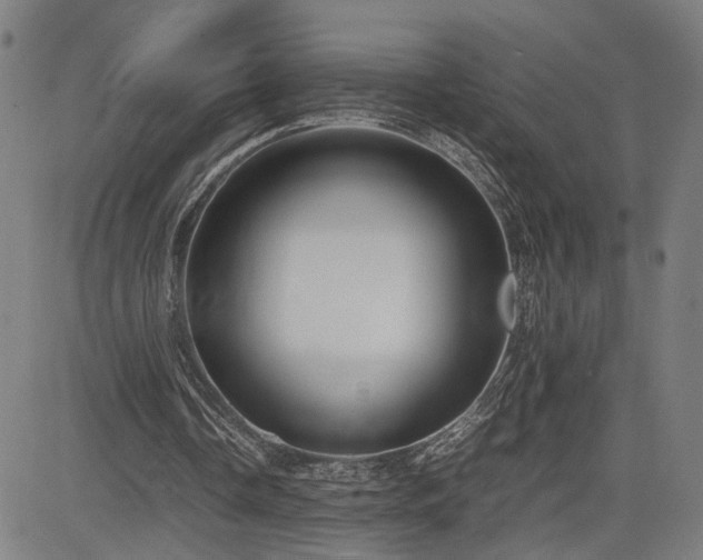 X0000085230338200703091157