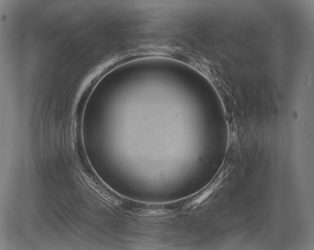 X0000085230342200703091157