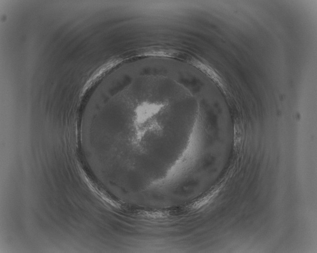 X0000085230349200703091157