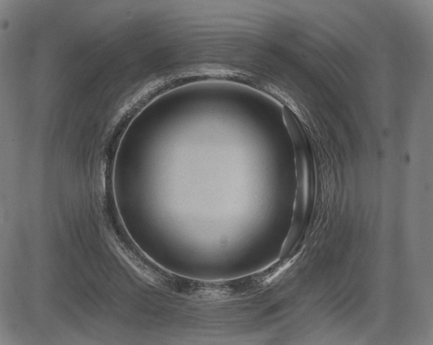 X0000085230350200703091157