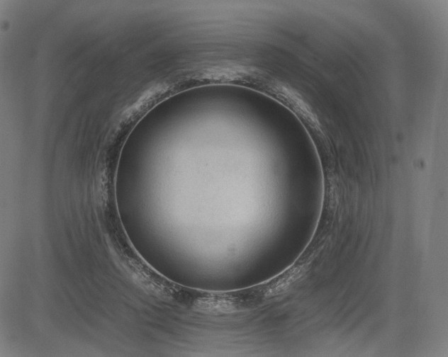 X0000085230354200703091157